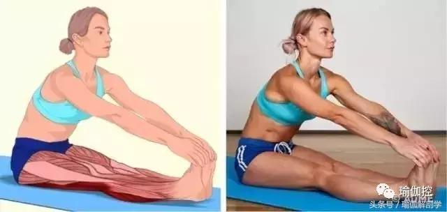 筋长一寸寿延十年瑜伽,瑜伽解剖矢状面与额状面