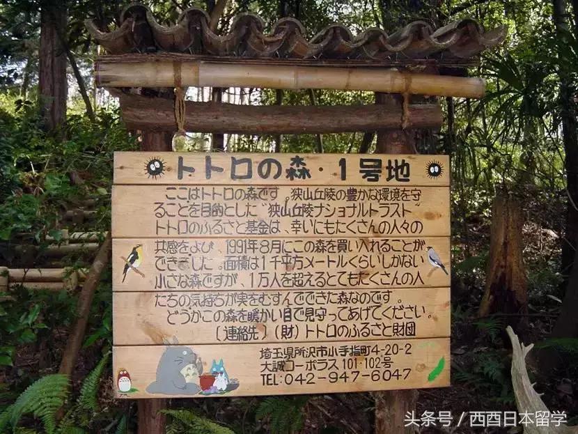 小偷家族日本大原海水浴场取景,小偷家族特写镜头