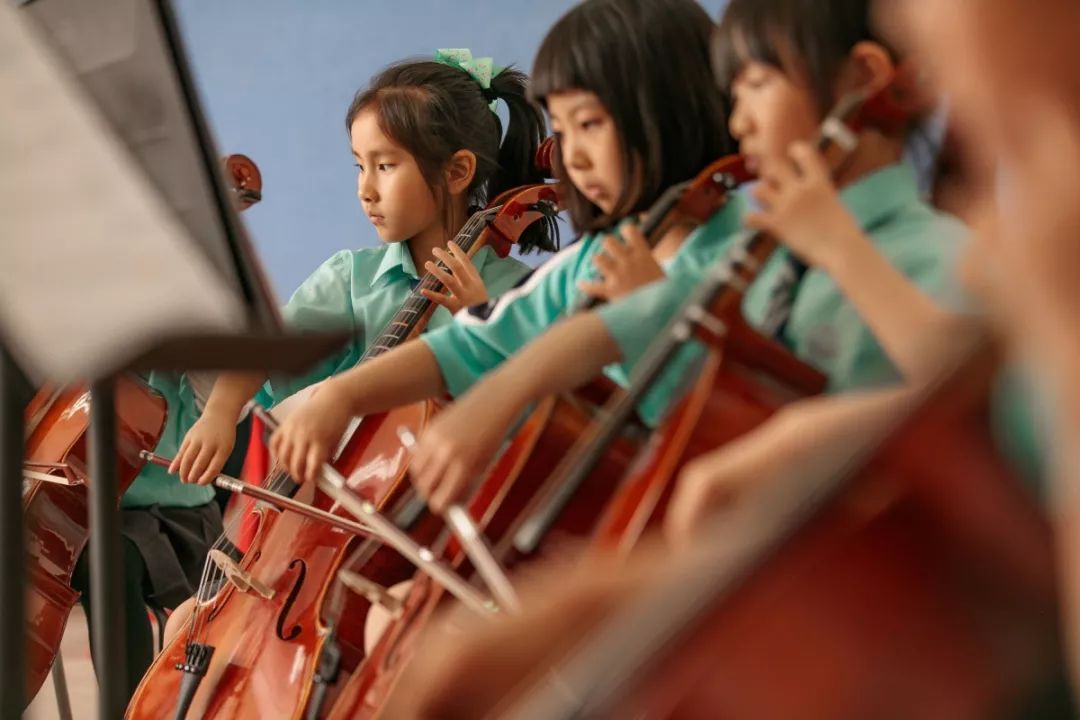 又一所世界级学校落户江宁，招收年级已确定！