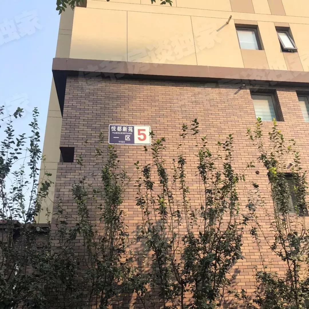 踩盘后楼盘火爆文案,踩盘房山