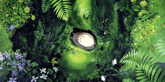 吉卜力龙猫,吉卜力工作室标志龙猫