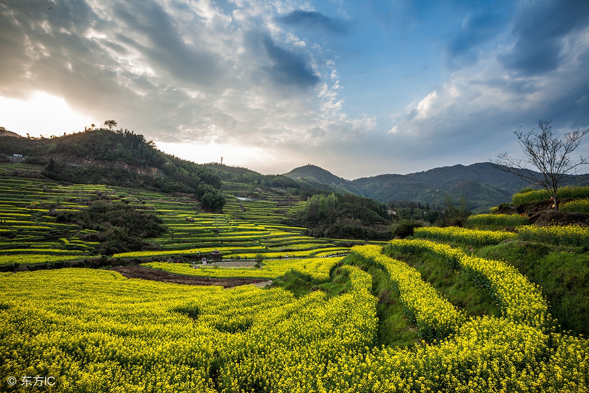 哪位高人用香烟名称写的一段话,太有才了!发给大家乐一乐