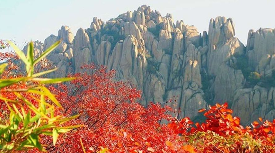 同圆梦，喜甘霖普降，盛世吉祥！