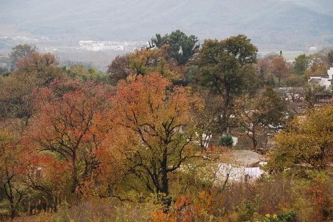 秋天的安徽,这才是安徽秋天该有的样子