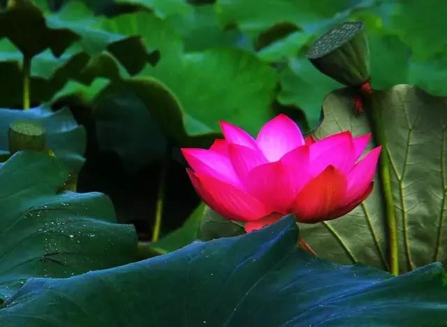 大连到四川自驾游路线经典攻略,大连到长白山自驾游攻略沿途景点