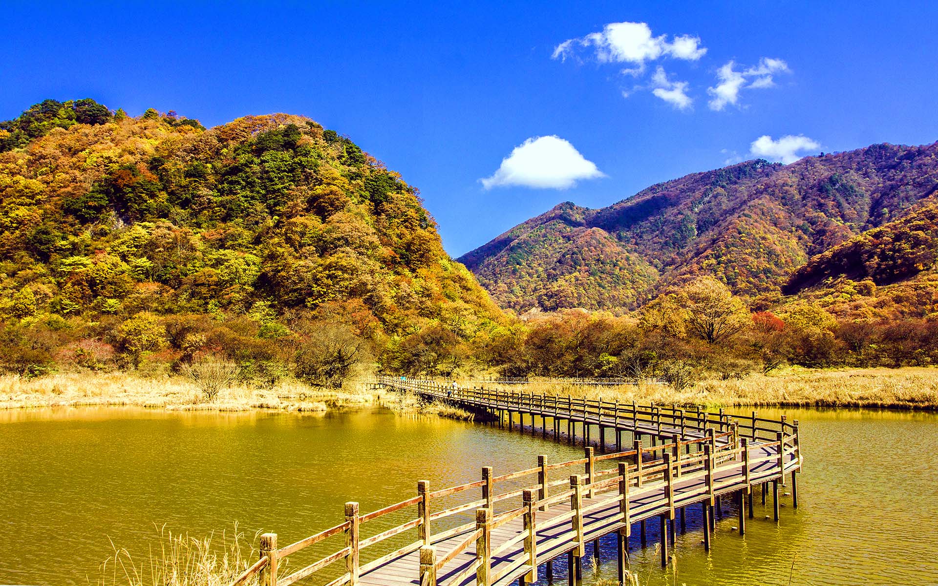 三十六计口诀全集,欲擒故纵是三十六计中第二十六计