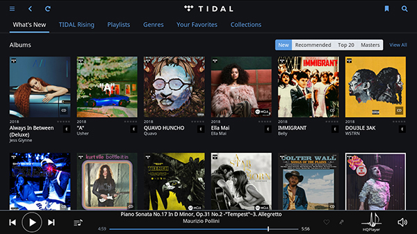 Roon的最佳解答：RoonNucleus音乐服务器