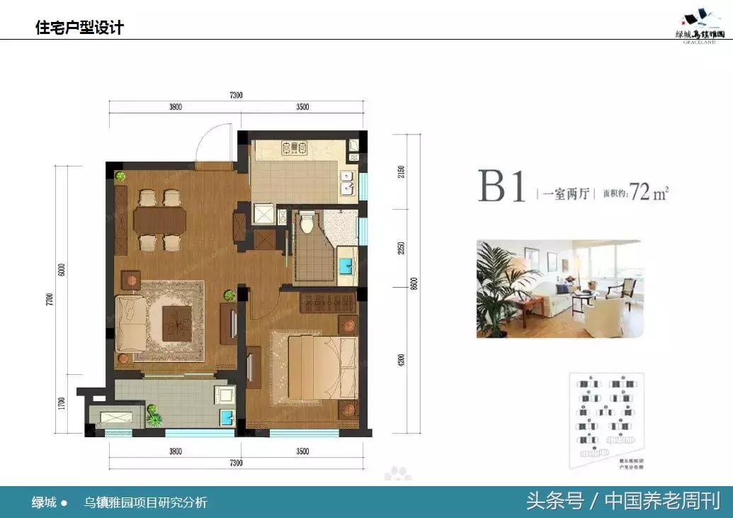 乌镇绿城雅园养老,乌镇雅园中国养老典范