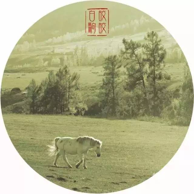 诗经中的国学经典语录,诗经中最唯美的句子加解析和感悟