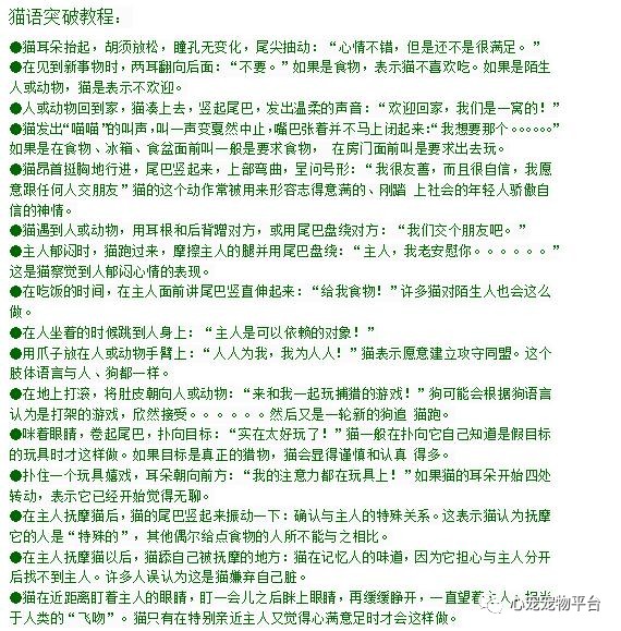 我与猫的小说,我与猫奴