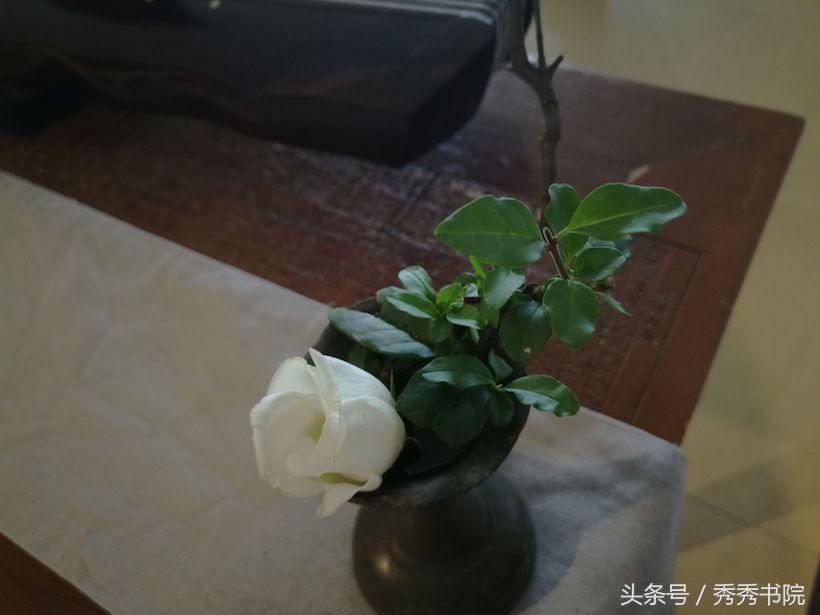 长安雅士所有古琴曲,长安雅士古琴独奏