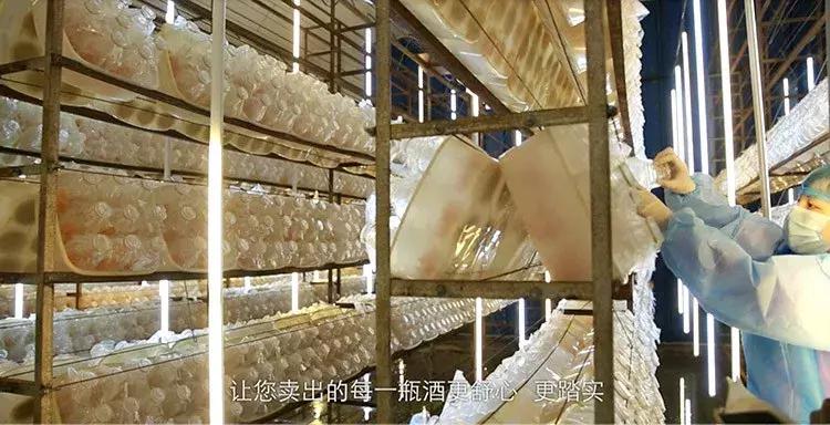 中科国医与中管院联盟,中科国医共生赋能