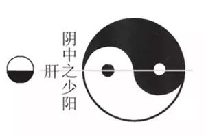 潘毅：别吃错了，六味地黄丸并不补一切肾虚