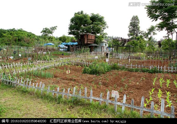 互联网农业现实版开心农场,农场新型开心娱乐项目