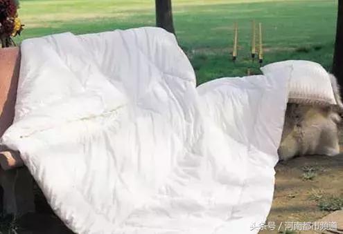 冬天被子晒几个小时就可以了,被子没法晒太阳怎么可以去潮气