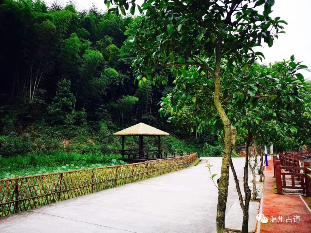 瓯海瞿溪风景,远山近水如诗如画