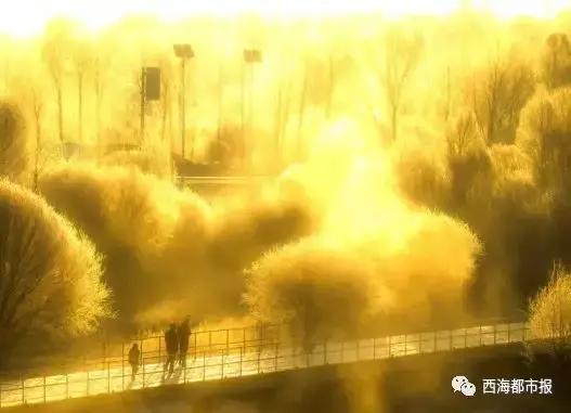 美爆了一大波青海冬日奇景,青海神秘奇景