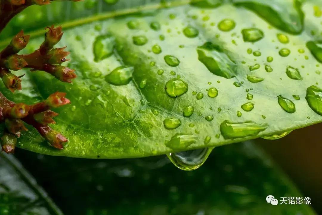 徕卡90280长焦镜头,徕卡sl902