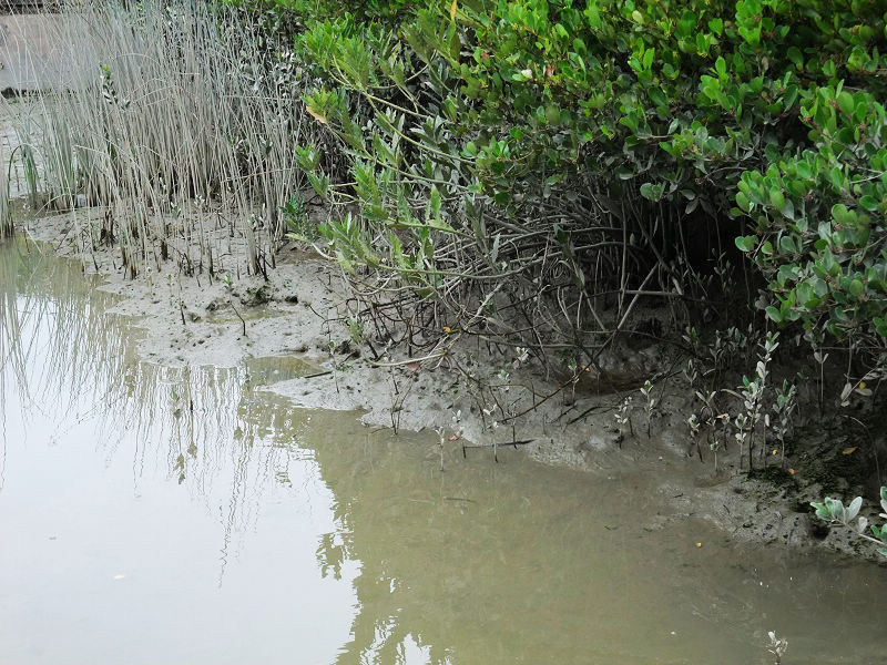 穷驴500块囧囧游香港（详细攻略带图）