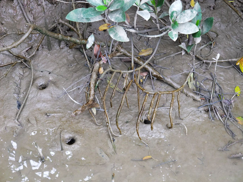 穷驴500块囧囧游香港（详细攻略带图）