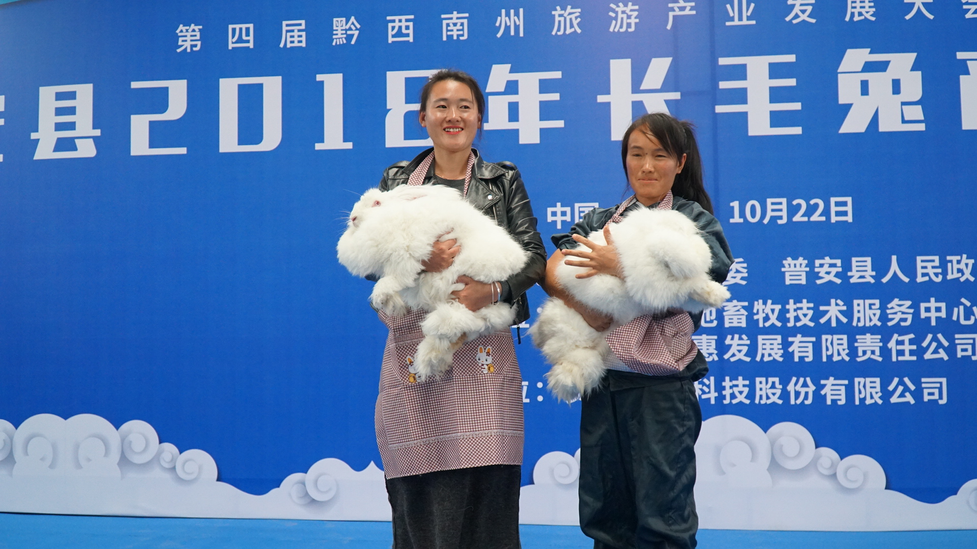 世界茶源地中国普安红,世界茶源黔西南州