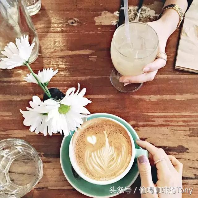 中国女排喝的茶,中国女排喝咖啡