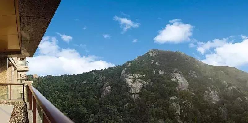 厦门某香港营销总与老板对赌，输了就从115米顶楼“崩极”下去