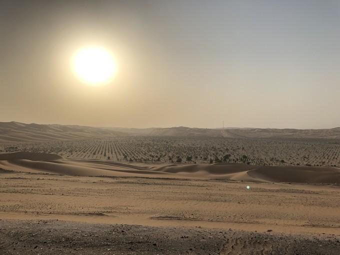 阿联酋沙漠之旅骑着骆驼去旅行,记录一次说走就走的阿联酋迪拜游