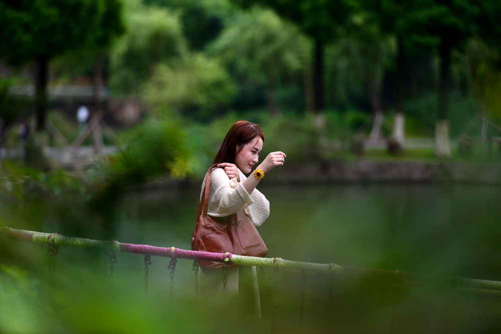 宜兴竹海的风景,推荐一个好的地方宜兴竹海