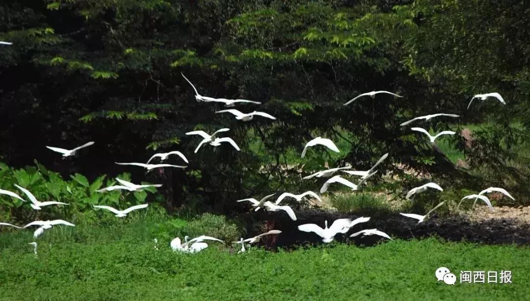 龙岩这个“生态粮仓”美翻了，还是中科院研究基地！