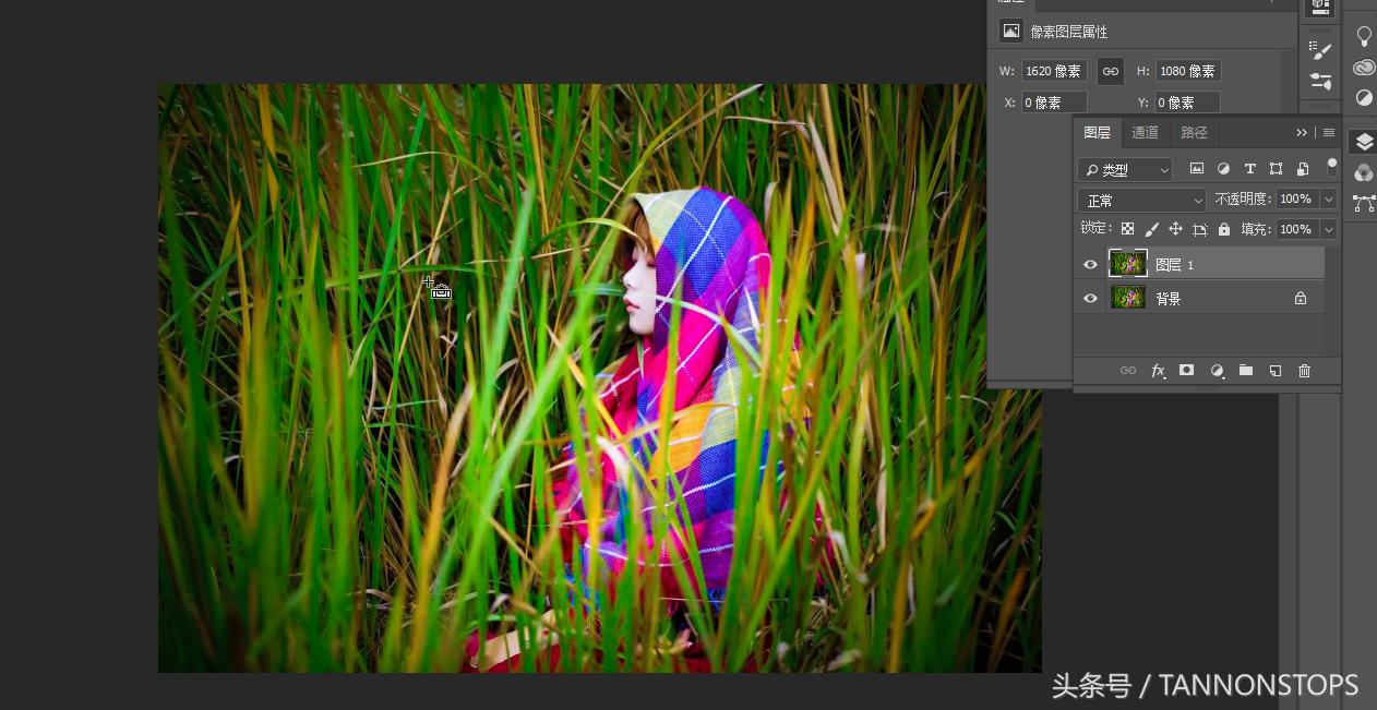 给你一个高清的调色方法简单易会,给作品调色教程