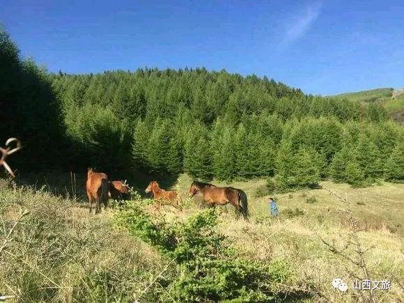 山旅吕梁，第八站，岚县——山水岚县，天上云间