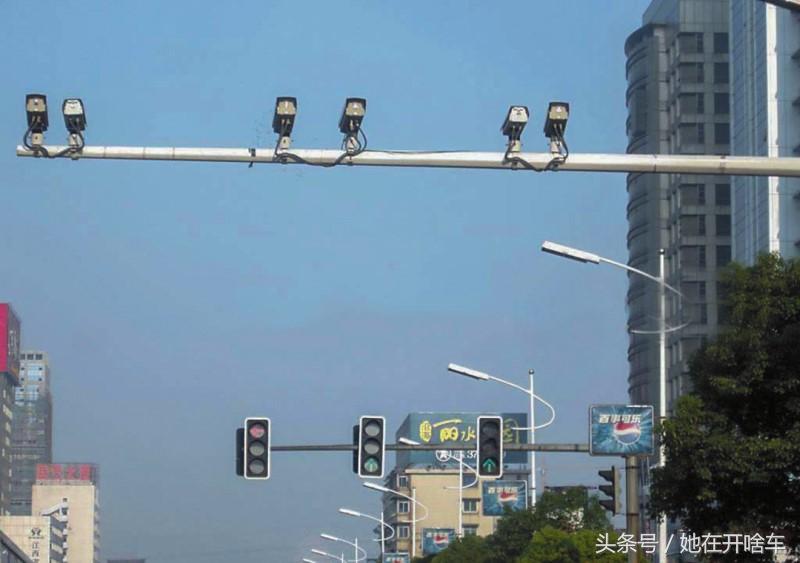 *子狗电**到底能不能装？专家给出解释后，车主纷纷表示质疑