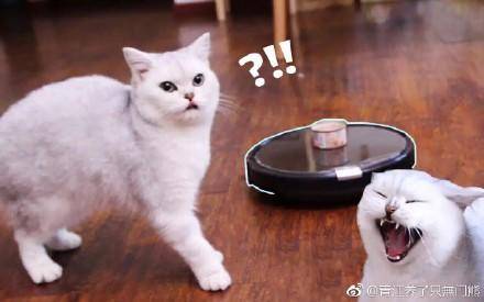 天猫精灵喵控智能,天猫精灵机器人推荐