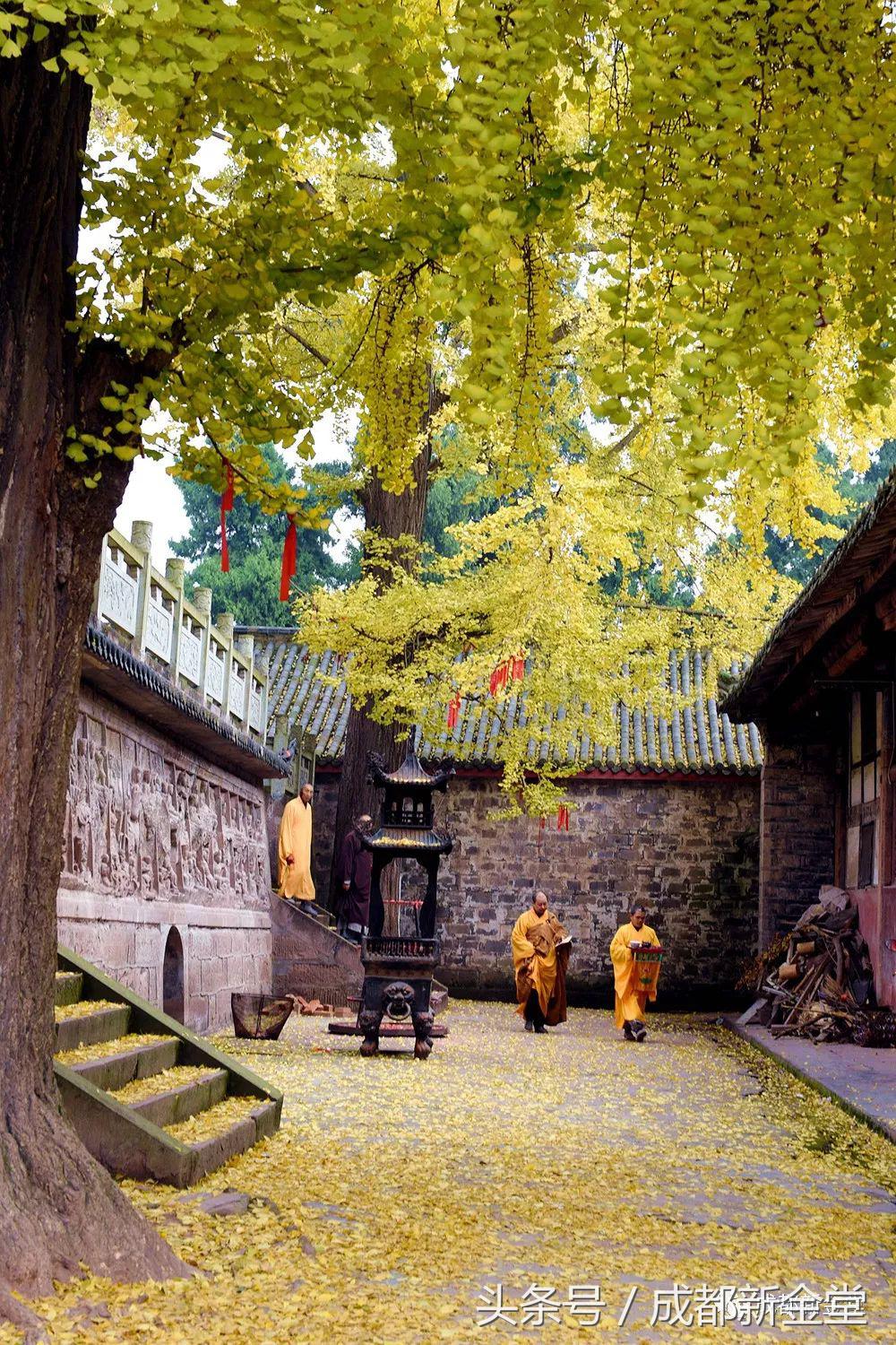 金堂秋色,秋天金堂十大必去景点