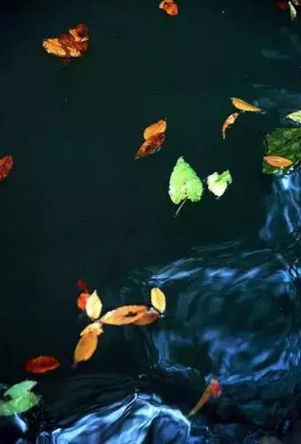 九首相思诗词九重相思境界,九首相思诗词诉尽相思的苦