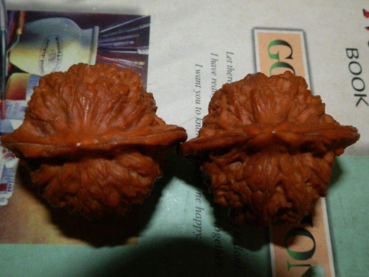 文玩核桃不平整修一下,文玩核桃蛤蟆头黄尖