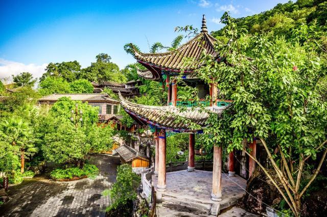 鑽疯姳鍙ら晣鑵惧啿,鑵惧啿鑽疯姳鍙ら晣