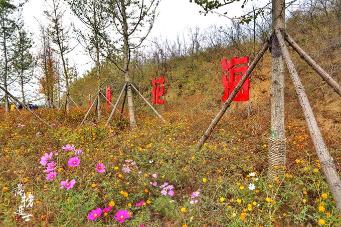 河北的县城很小,河北这个城市不大不小