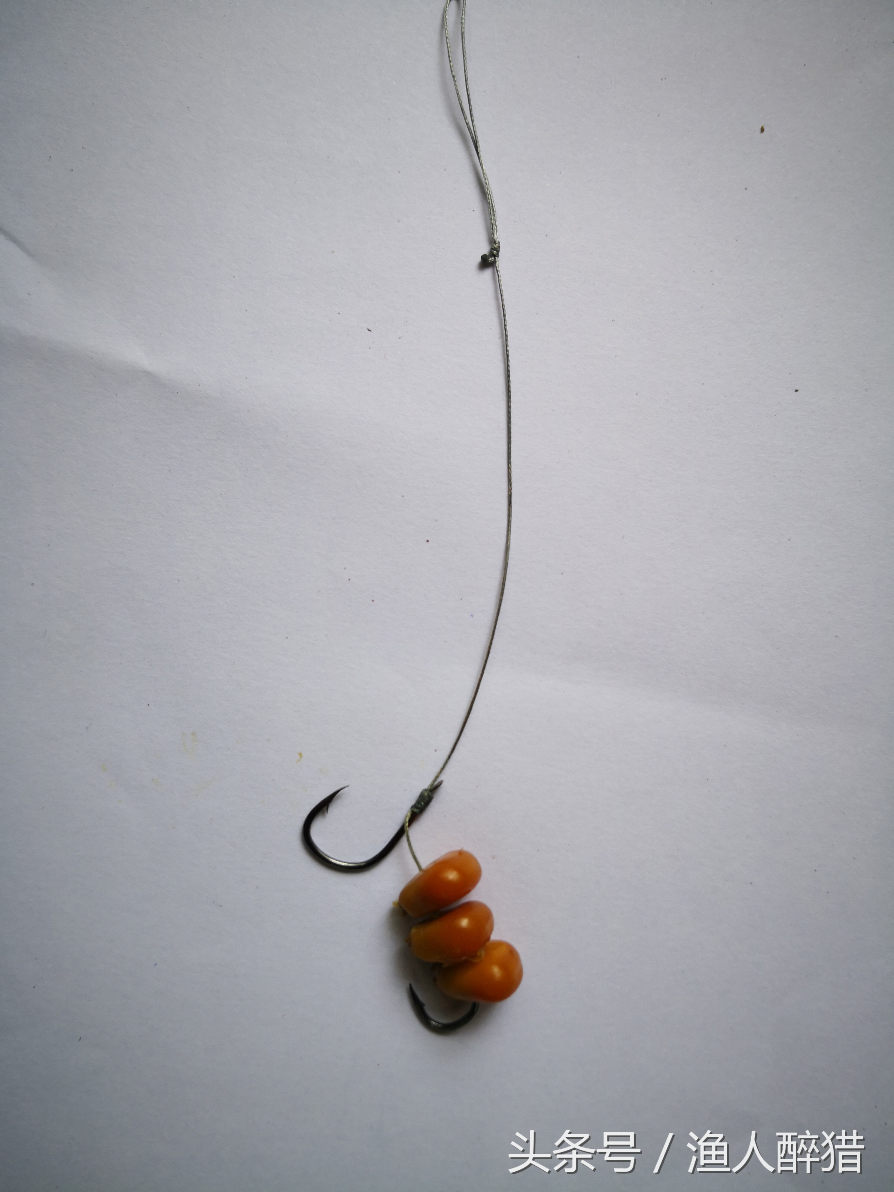 玉米粒钓鱼技巧大全,玉米粒钓鱼教学