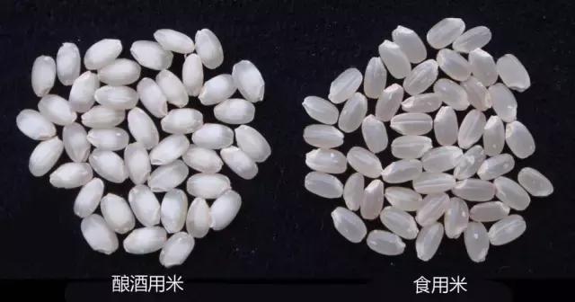 清酒:每个酒鬼都不应错过的日本国酒