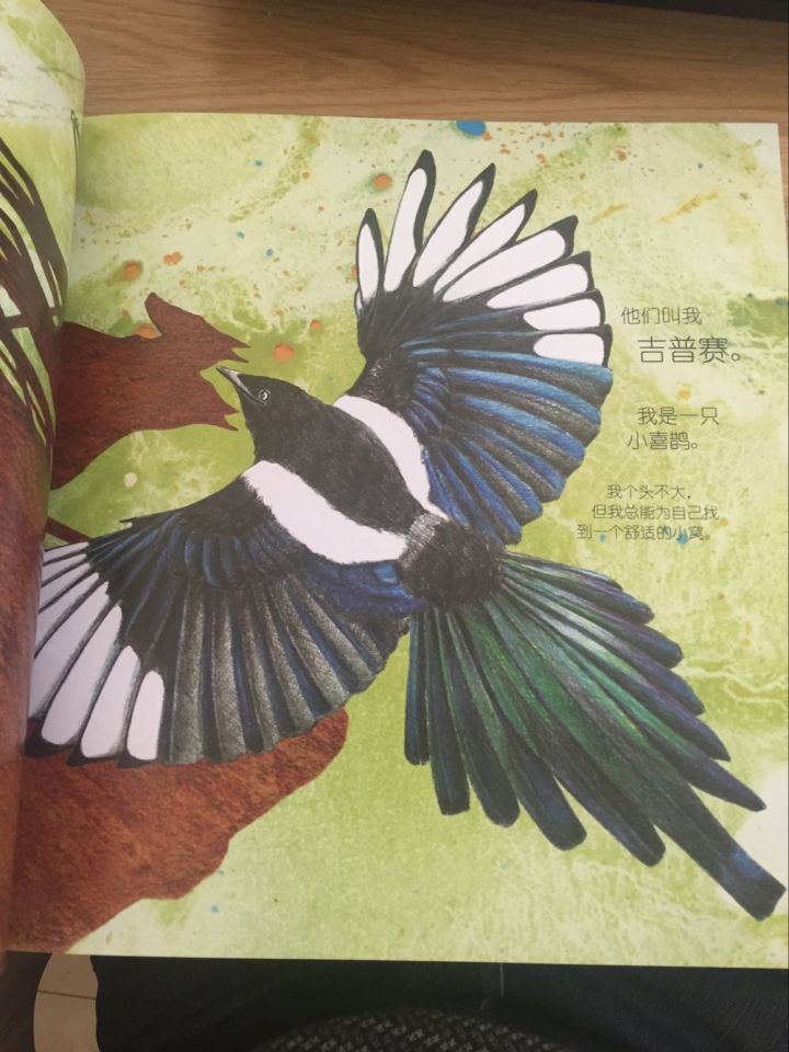 绘本启蒙读物推荐,适合34岁孩子阅读的8本绘本推荐