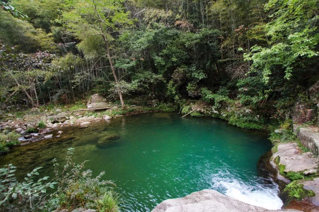 没有人来人往的城市,没有人山人海的地方