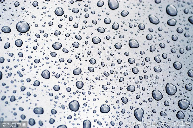 滚床单能让阴部更快乐吗？当然可以，那会让你更健康！多喝水吧