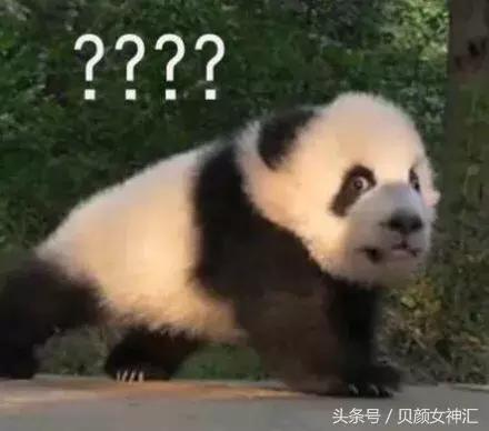 测评十几元的精油,如何买到靠谱的精油