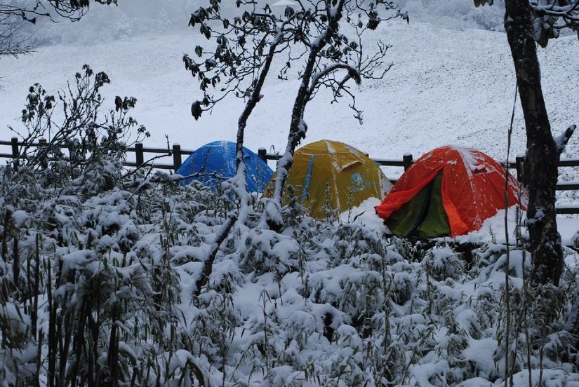 百慕大黑竹沟未解之谜,黑竹沟百慕大三角探险