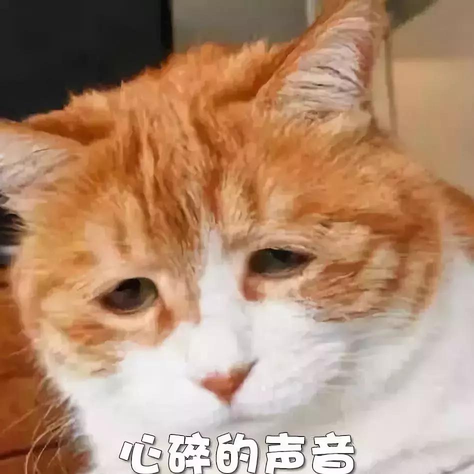 1024程序员节，这个不懂代码的小学校长做了三十年来没人做过的事