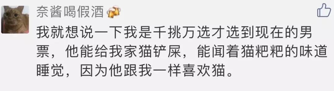 男朋友把猫打了一顿扔出去了,男朋友打我养的猫怎么办
