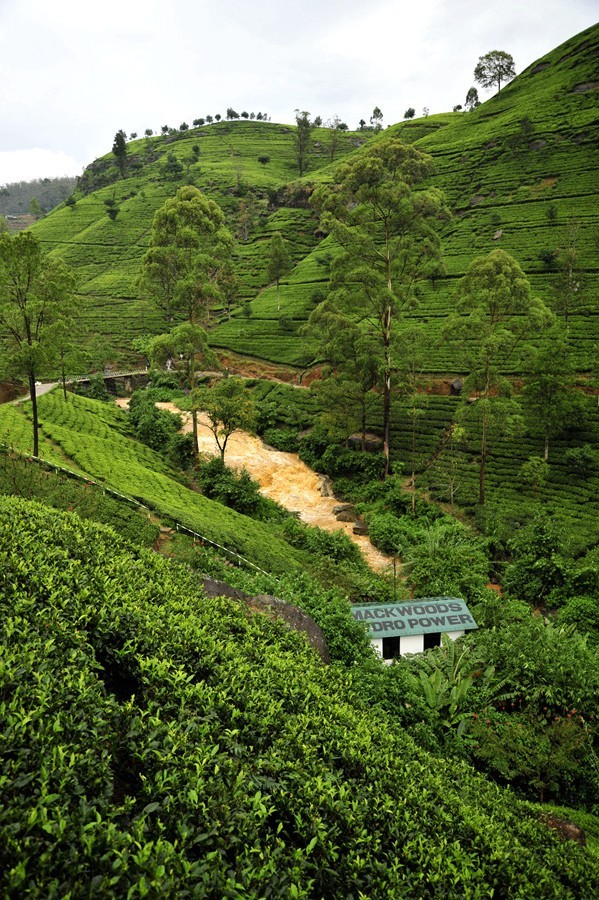人文摄影斯里兰卡,锡兰风景