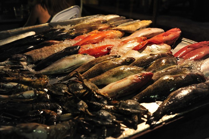 人文摄影斯里兰卡,锡兰风景